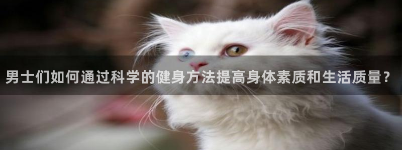 凯捷体育代理