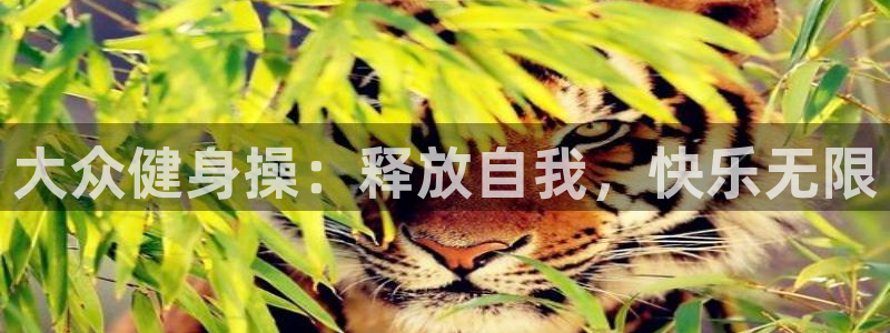 凯捷体育官方网站