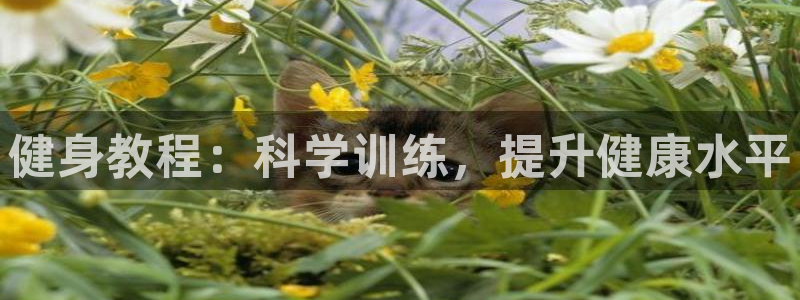 凯捷体育招商
