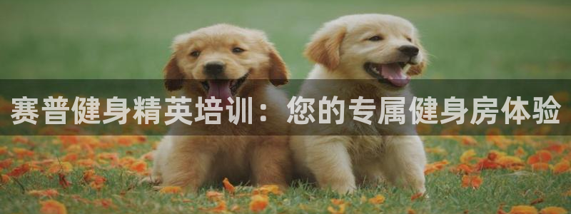 凯捷体育官方网站