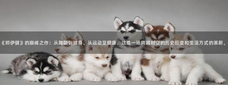 凯捷体育招商
