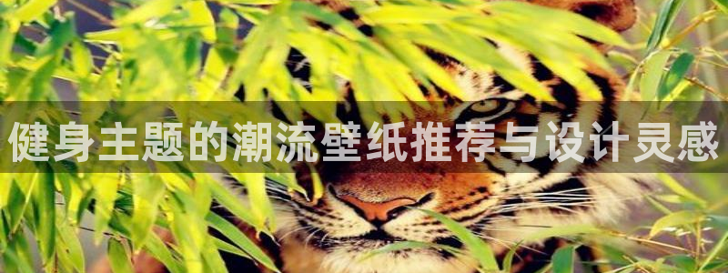 凯捷体育官网