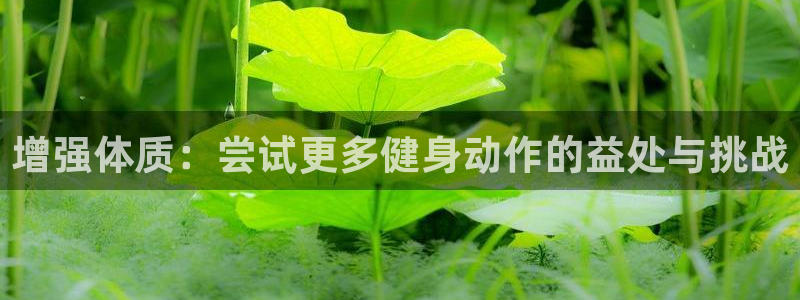 凯捷体育官方平台